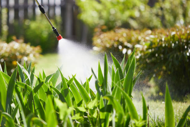 24/7 Emergency Mosquito Control experts in Mango, FL