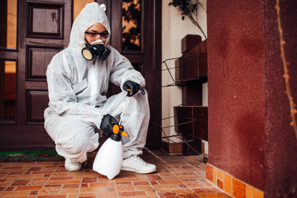 Reliable Mosquito Control contractor in Mango, FL by Show Me Pest Control